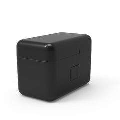 Mini True Wireless Earbuds A2920