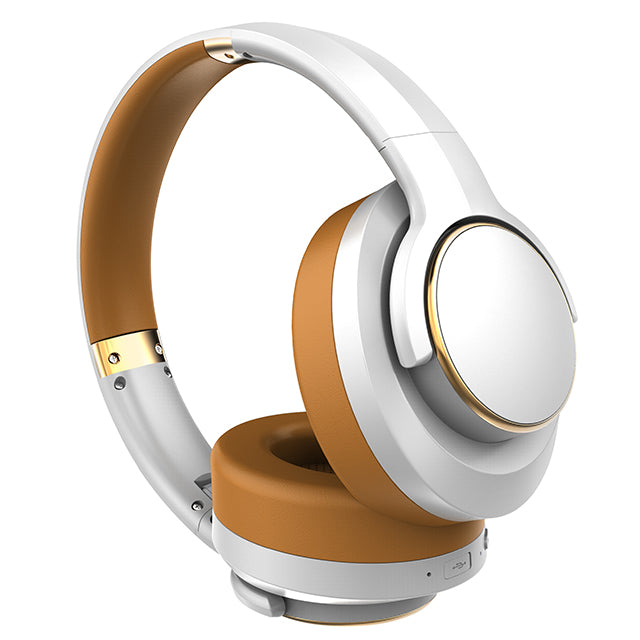 Anti Noise Cancellation Wireless Headset FY1420